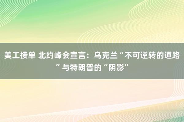 美工接单 北约峰会宣言：乌克兰“不可逆转的道路”与特朗普的“阴影”